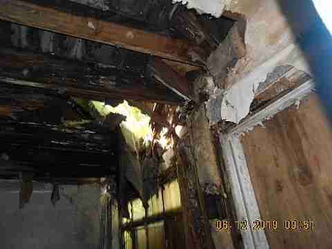 19246 Albany (11)_m.jpg